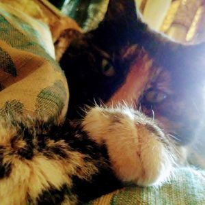 Meet your Posher, Marcy